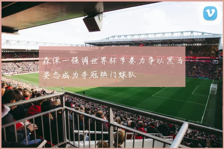 森保一强调世界杯节奏力争以黑马姿态成为夺冠热门球队